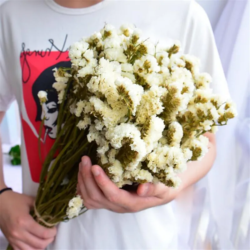White 1 пачка 45-50 см DIY Свадебная вечеринка фото реквизит чистое натуральное растение сушеные цветы кафе библиотеки украшение для дома 100~ 150 г - Цвет: White