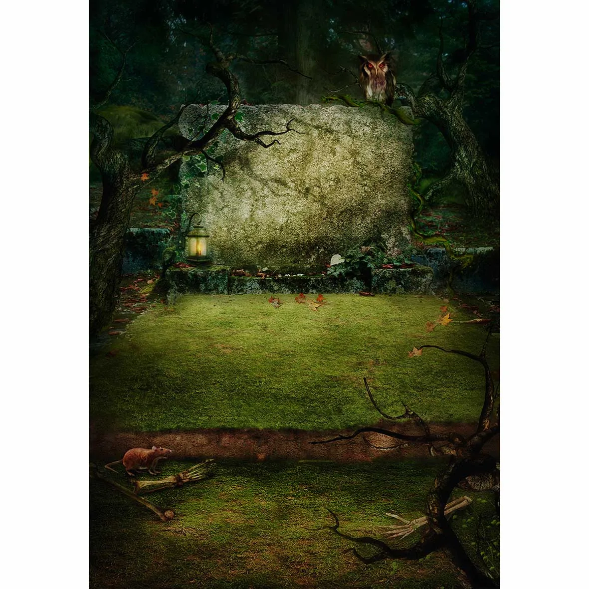 Allenjoy Фото фоны устричный лес мох сова Хэллоуин фон фотобудка оригинальный дизайн