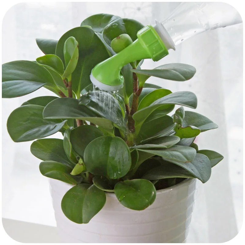 2 шт. набор маленькие садовые инструменты разбрызгиватель для воды портативный