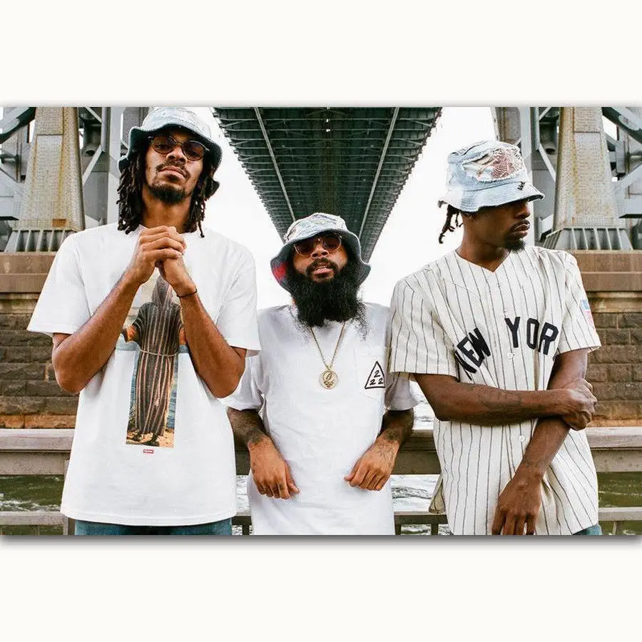 Художественная печать Flatbush зомби хип хоп группа музыка звезда 14x21 24x36 27x40 дюймов