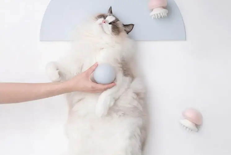 Xiaomi Youpin Медуза Pet Массажная расческа отрицательных ионов Антистатическая Массажная Расческа для кошки Влажная и сухая