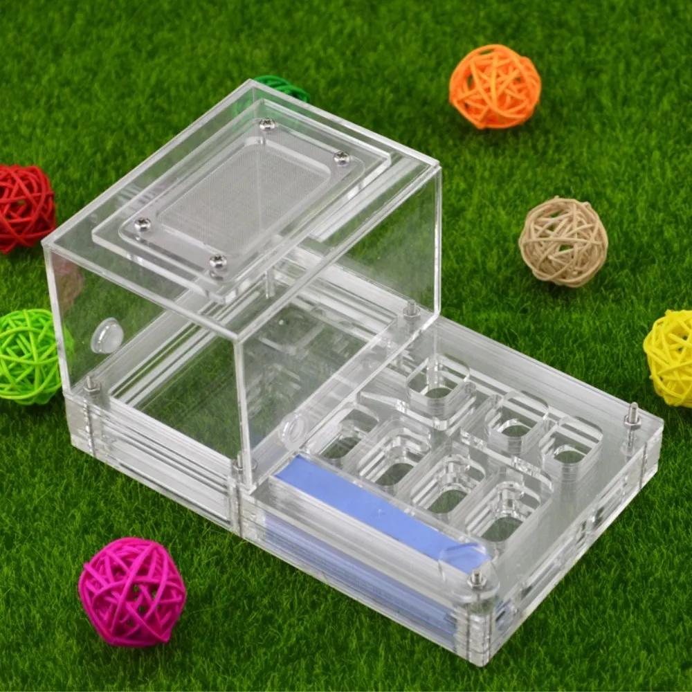 

Ant Housing Nest Insect Cage Farms Feed Plastic Acrylic Display Trapezoid Box