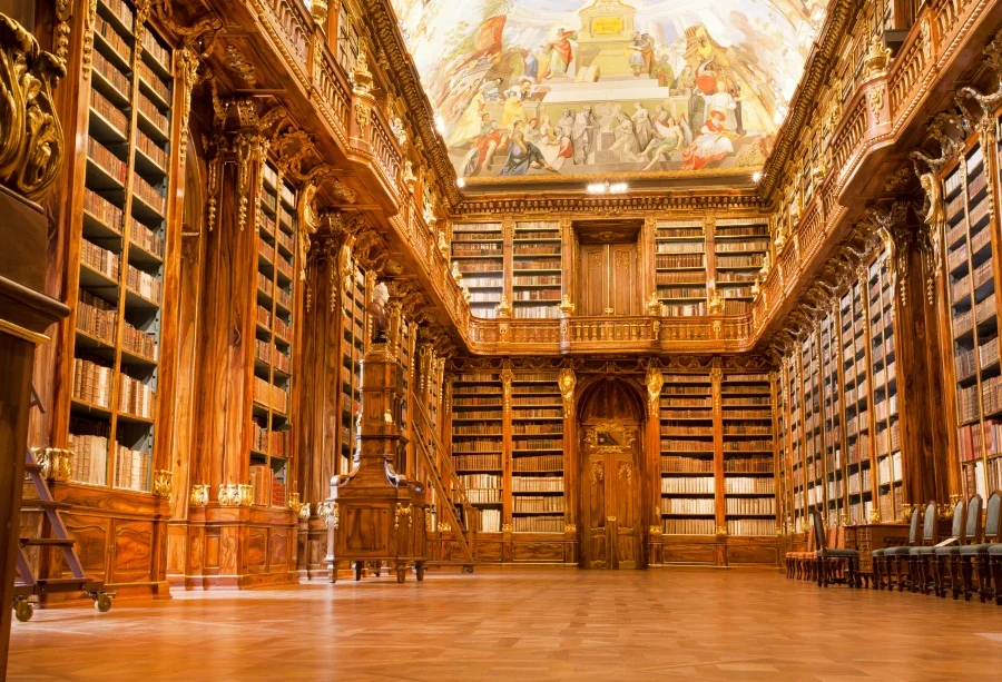 Laeacco Library книжная полка живопись крыша фотографии фоны Виниловые цифровые
