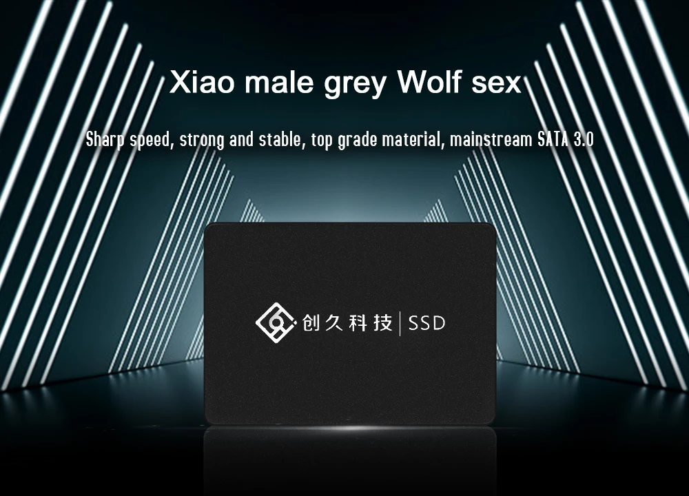 SSD SATA3 120 ГБ/128 ГБ/256 ГБ 2,5 дюймов Чтение/wirte скорость 470-500 МБ/с. высокая скорость жесткий диск напрямую с фабрики Reeinno Храбрый волк