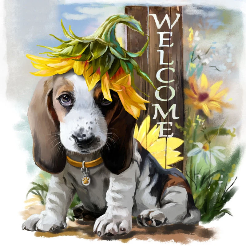 

Full square/Round drill Diamond embroidery cute dog 5D DIY diamond Painting Cross Stitch Rhinestone Mosaic decor HYY