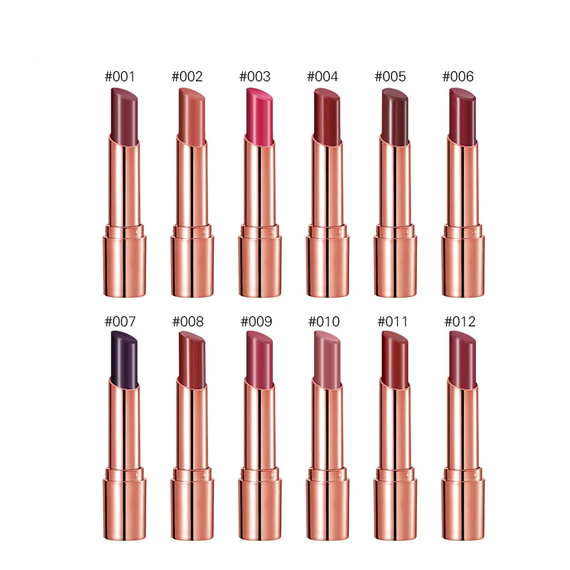 2019 Новый Водонепроницаемый телесного цвета матовая помада бархат Lip Stick 12 Цвета
