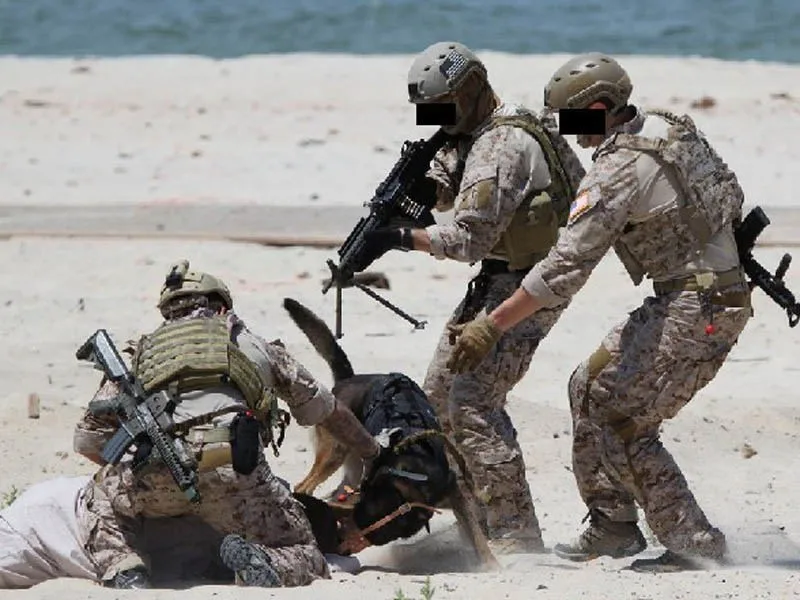 EMERSON ACT OF VALOR Navy seaps боевые костюмы BDU военная форма для охоты камуфляж(AOR1) em6914