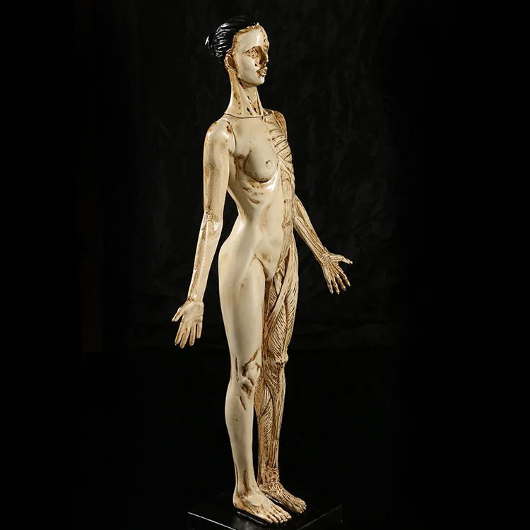 43 см смола Женский человеческий череп для изучения анатомии модель искусства в