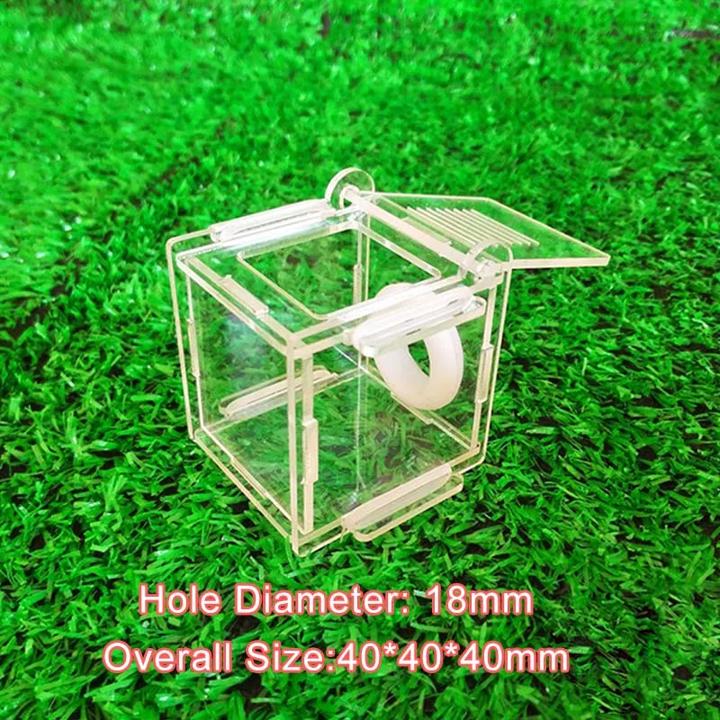 Feeding area 18mm DIY экологическая муравьиная ферма бамбуковая пробирка Муравьиное гнездо различные размеры трубы муравьиный дом для домашнего животного муравьиная мастерская королева муравьиная домашняя - Цвет: Feeding area 18mm