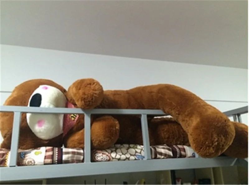 63 дюйма (160 см) Гигантский Мишка Тедди FT90060|giant teddy bear|teddy beargiant |
