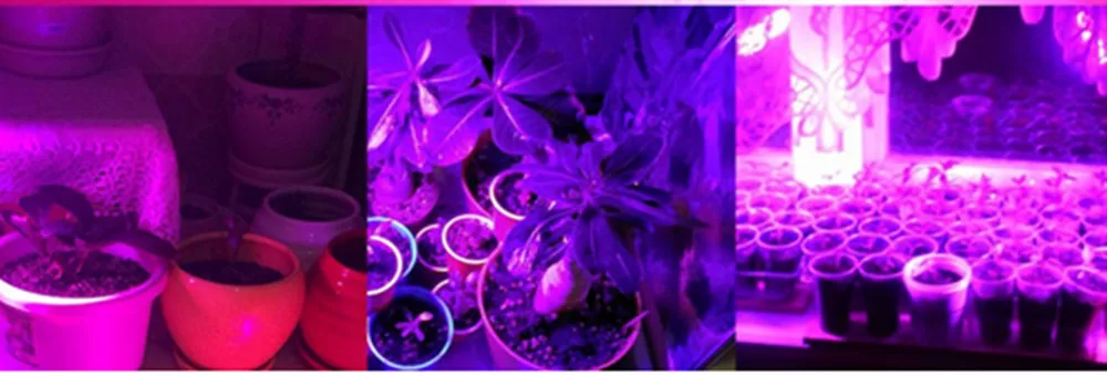 50/100 Вт высокой мощности Мощность SMD СВЕТОДИОДНЫЙ Grow светильник полный спектр Водонепроницаемый 220V 60lm/W для Крытый парниковый плантационных палаток Светодиодная лампа для роста растений