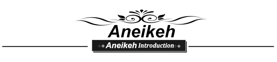 Aneikeh/ г. Летние парусиновые сандалии-гладиаторы с цветочным узором женская обувь вечерние туфли-лодочки на тонком каблуке с открытым носком без шнуровки на пятке 41, 42