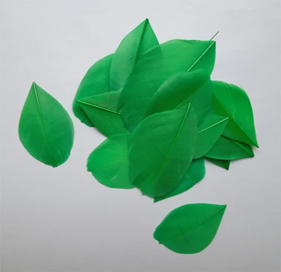 dark green 50 шт./партия! 3-6 см длинные красивые Обрезанные гусиные перья, свободные лепестки перьев, Обрезанные перья для DIY аксессуары, хорошее качество - Цвет: dark green