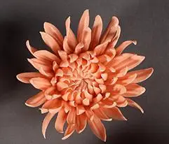 chrysanthemum Пион Хризантема декоративный настенный цветок dishe фарфоровое декоративное блюдо винтажный домашний декор ремесленные ремесла украшение комнаты - Цвет: chrysanthemum