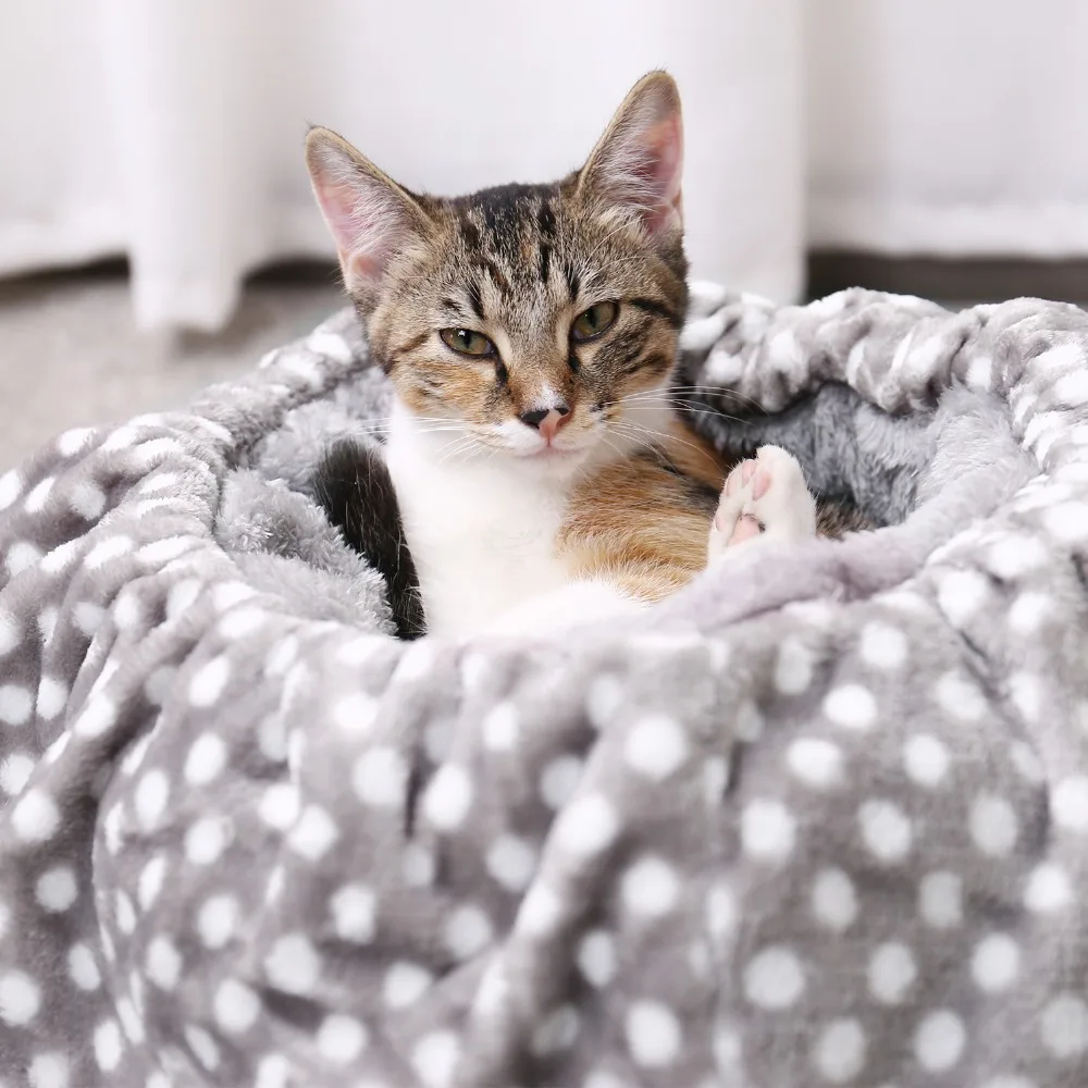 Милый, собака, кот спальные мешки для домашних животных собаки кошки кровати дома теплые мягкие подушки Коврики кролик котенок Щенок Кровать для чихуахуа кошки маленькие собаки