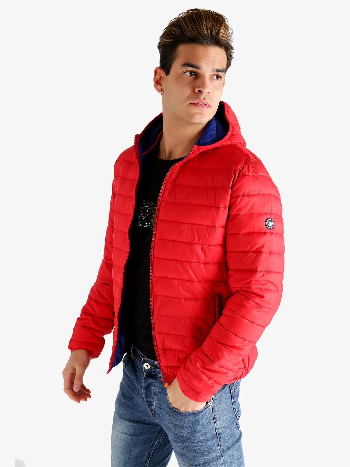 Модель куртки 100 г с капюшоном|Мужские куртки| |