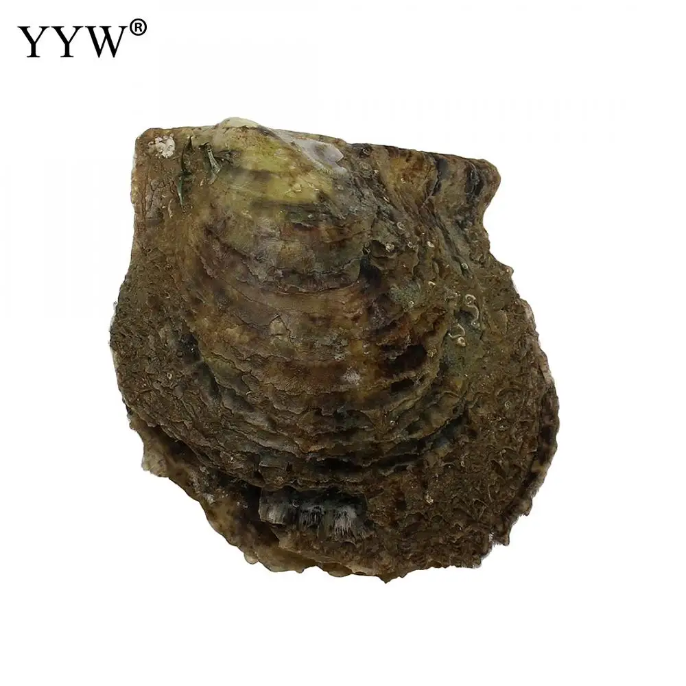 50 шт./пакет Akoya бусины устрицы с культивированным морским жемчугом 7 8 мм Aaa жемчуг