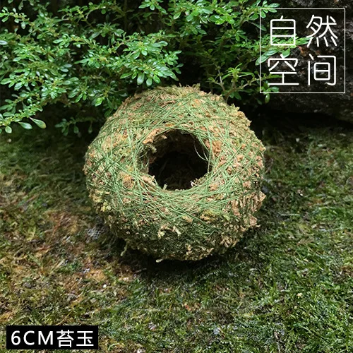 Kokedama моховые шары японский мох шар с Мохом семена личности небольшой вентилируемый цветочный горшок для орхидеи и бонсай - Цвет: 6cm