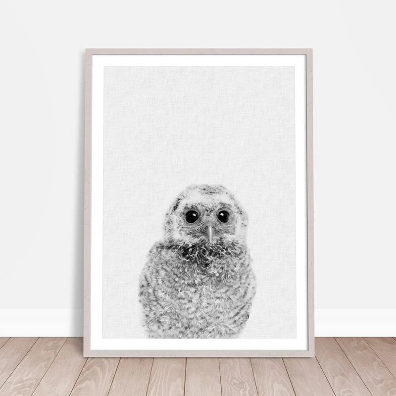 Картина на холсте с милыми животными сова настенная картина декор для детской