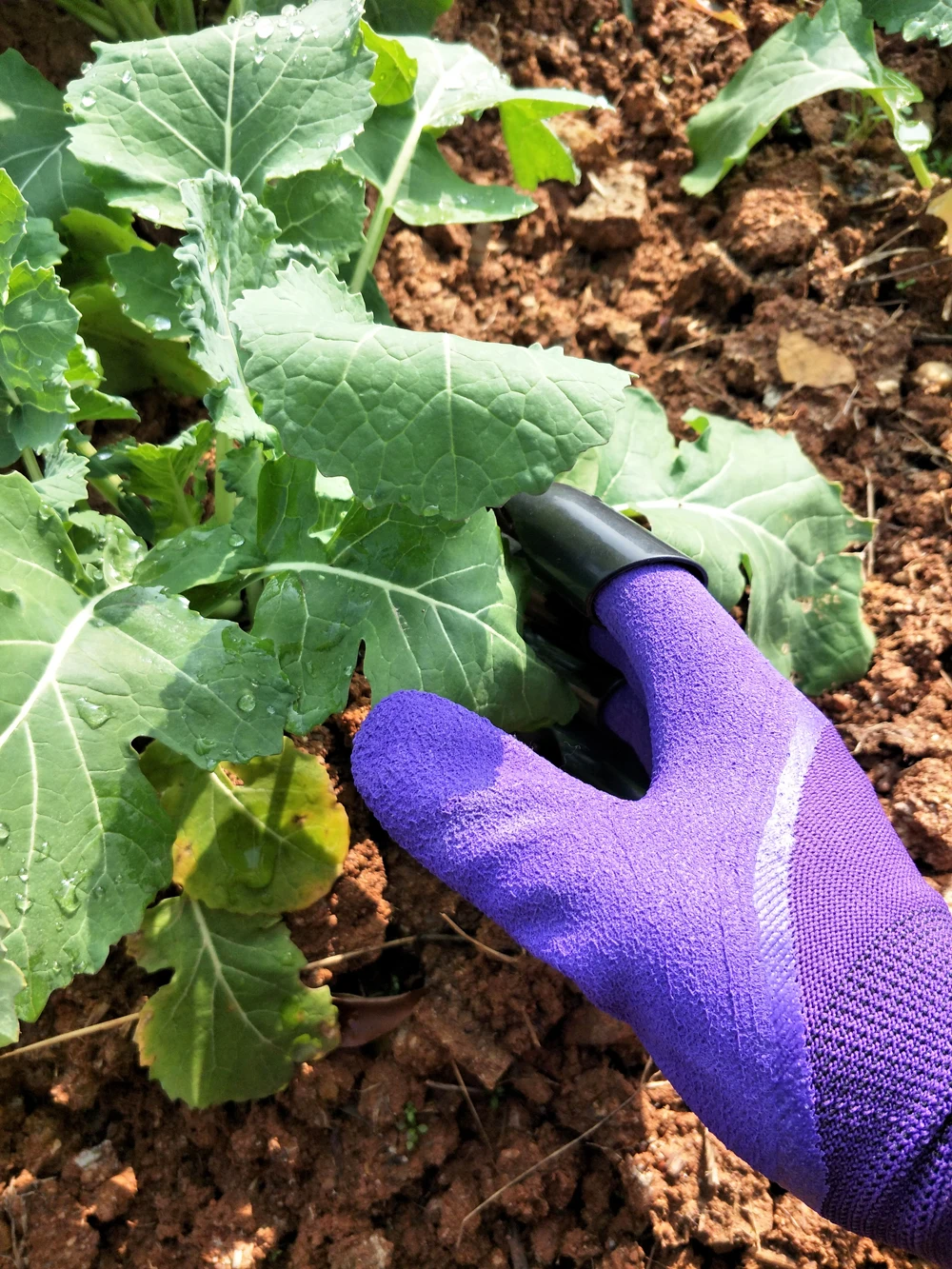 Новые перчатки GOUGU для садоводства, садовые перчатки с 4 пластиковыми когтями ABS, 3 цвета