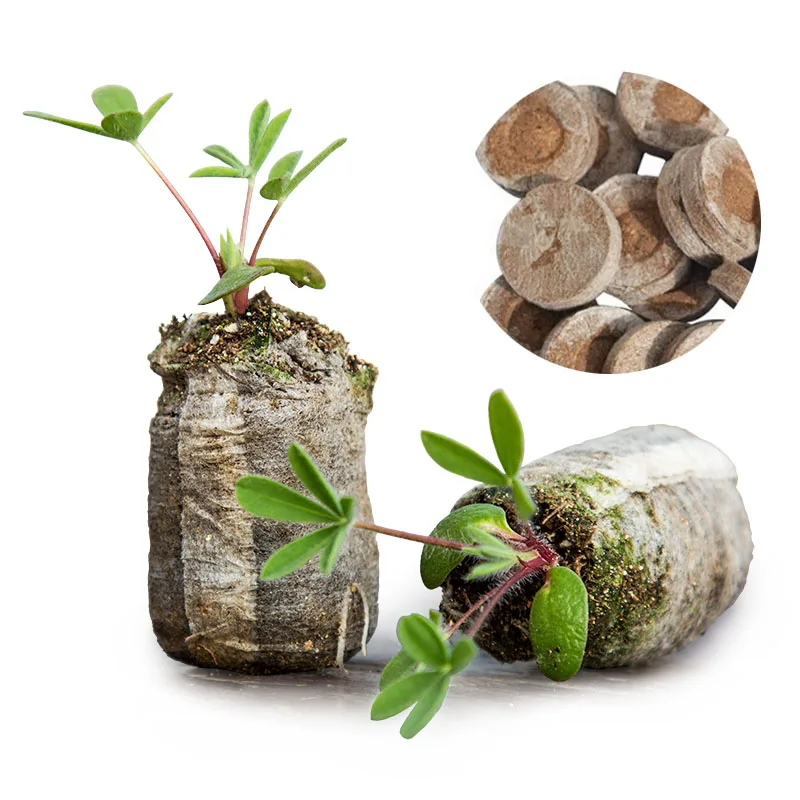 

Торфяные таблетки для рассады 3 шт.