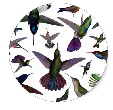 

1.5inch Vintage Hummingbirds Classic Round Sticker
