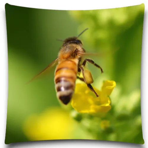 Наволочка с Пчелой насекомыми хлопковая Полиэстеровая подушка чехол для дивана