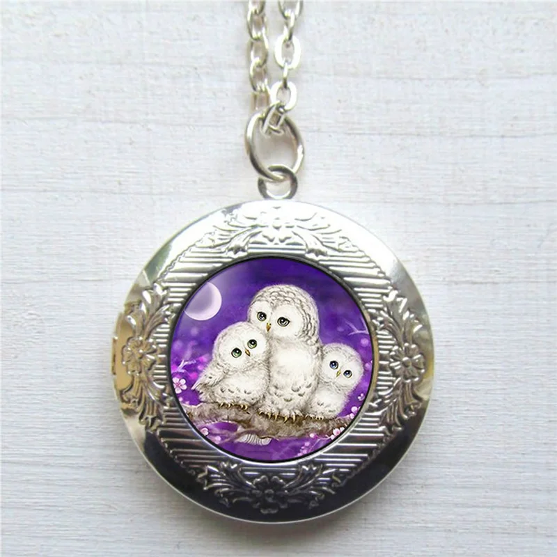 Retro Cute Owl Locket Photo Glass Cabochon Crystal Pendant Necklace Birthday Festival Anniversary Gift Jewelry Accessories | Украшения и