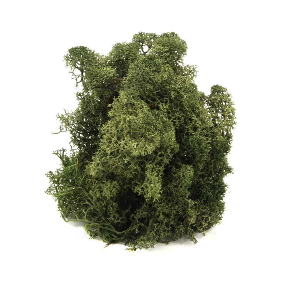 500 г натурального норвежской Ягель для цветы Трава корзины растение домашнего