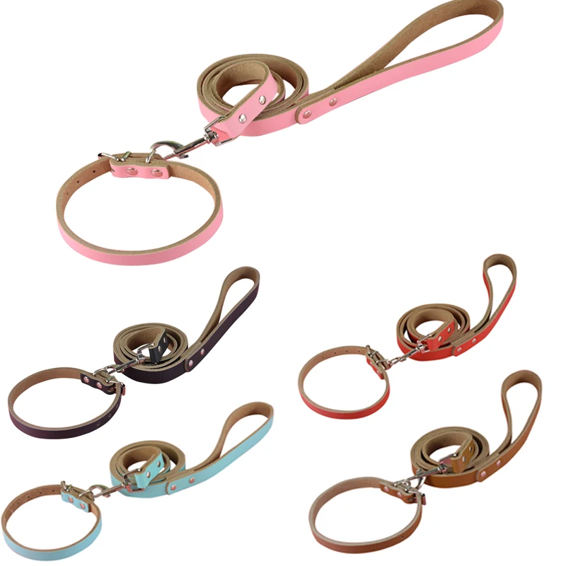 Высококачественный фирменный Глобальный комплект поводков и ошейников для