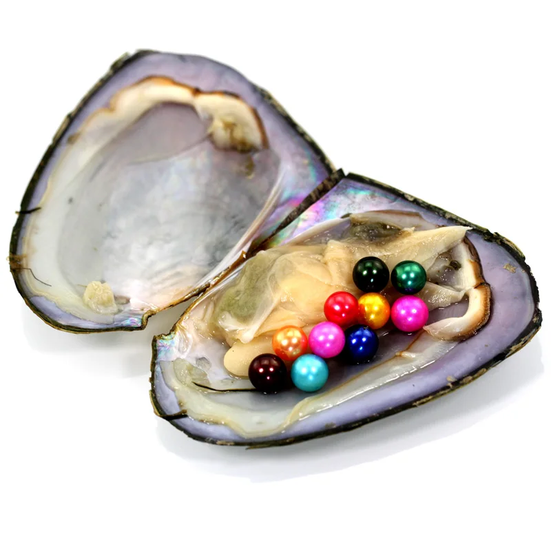 Высокое качество дешевые любовь пресноводная раковина жемчуг Oyster 10 жемчужины 6 7