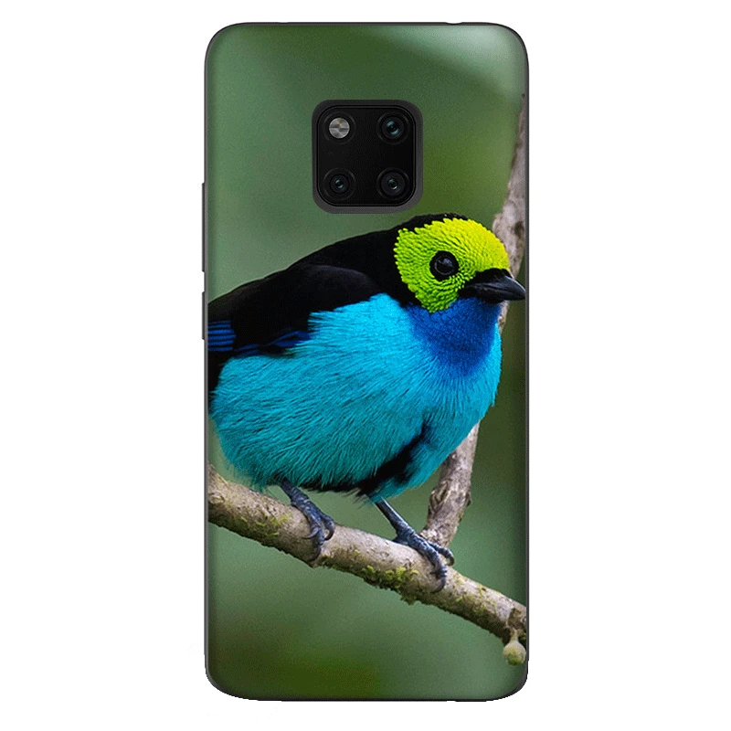 Силиконовый ТПУ чехол для телефона Huawei Nova 2i 3 3i Mate 10 20 Pro Lite Y6 Y5 Prime 2017 2018 животное