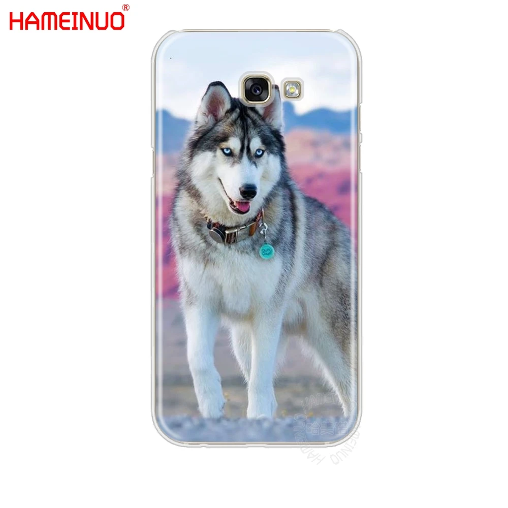 HAMEINUO Хаски щенок сотовый телефон чехол для Samsung Galaxy A3 A310 A5 A510 A7 A8 A9 2016 2017 | Мобильные