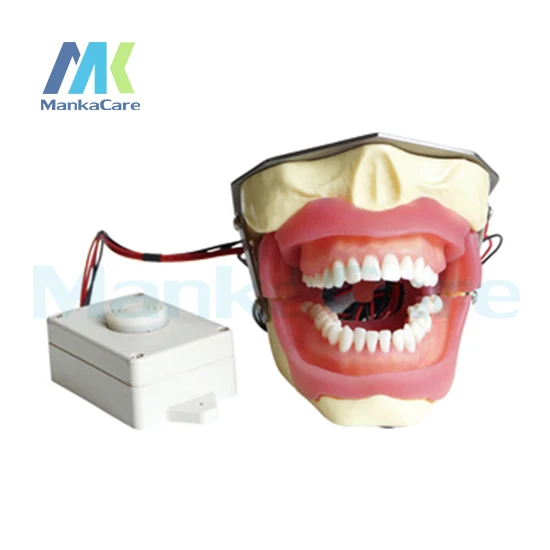 Manka Care модель для экстракции анестезии с зуммером зубов полости рта|tooth