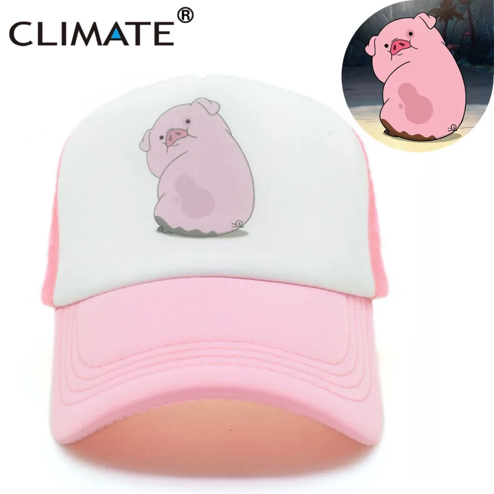 Климат 2017 милые с изображением мейбел из мультфильма gravity Falls Медведица розовый