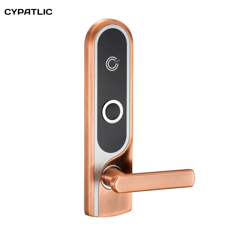 

Hotel Room Programmable Front Door Lock With Card Swipe system
