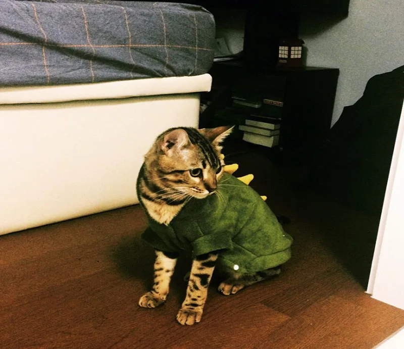 Одежда для кошек, костюм для собак, костюм забавного дракона, одежда для кошек, Рождественский костюм, одежда для кошек, Одежда для животных, пальто с капюшоном, Disfraz Perro 15S1