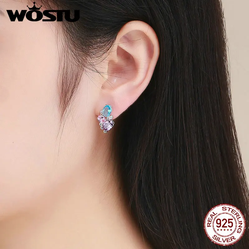 WOSTU разноцветные Кристальные серьги-гвоздики 925 пробы серебряные узоры мороза маленькие серьги для женщин уникальные ювелирные изделия FIE579
