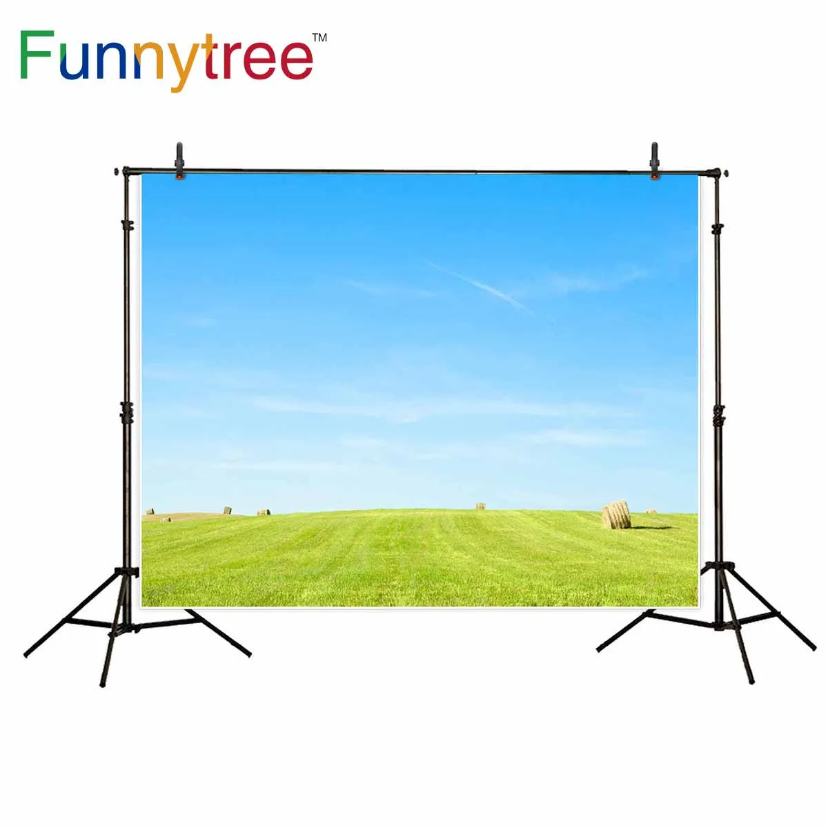 Funnytree фотографии backdropsBlue звездного неба и белых облаков и зеленой лужайкой фотосессия фотография Фотостудия средства