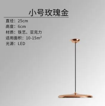 small rose gold 25cm Современные светодиодные подвесные люстры 8 цветов DIY художественное освещение столовая коридор Бар Кафе подвесные светильники принадлежности украшение дома - Цвет корпуса: small rose gold 25cm