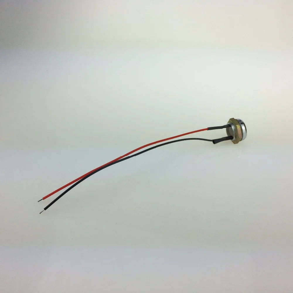 2 провода без светодиодного датчика ds 1990a ibutton IB TM 9093 для DS1990 DS1991 DS1996 DS1961 card 3