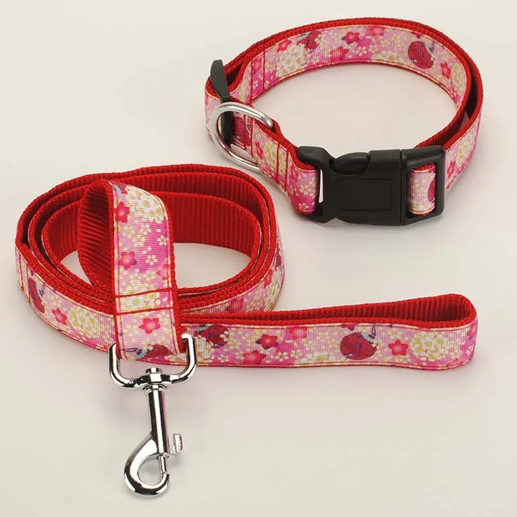 Новинка комплект из 2 предметов: для собачьего поводка и ошейник собак ширина 1