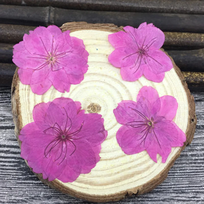Вишневый цветок свадебное украшение 6 различных цветов для подарков на открытку