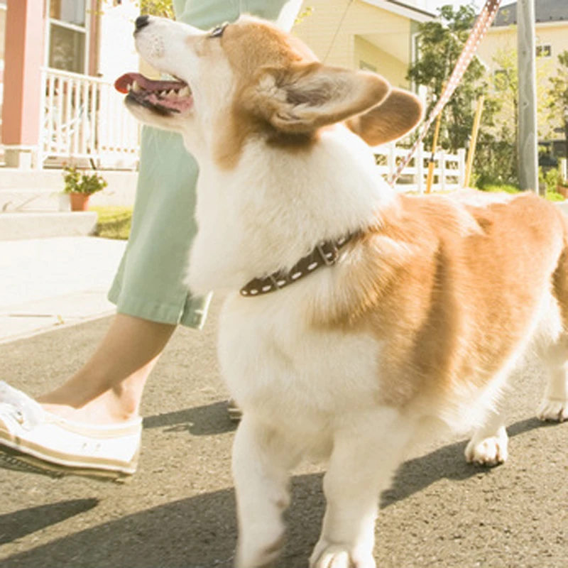 0 4 кг полихроматический ПЭТ автоматический телескопический