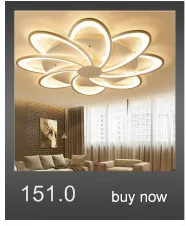 LICAN Modern LED Ceiling Lights for Living room Bedroom luminaire plafonnier Lampara de techo Modern Ceiling lamp Fixtures