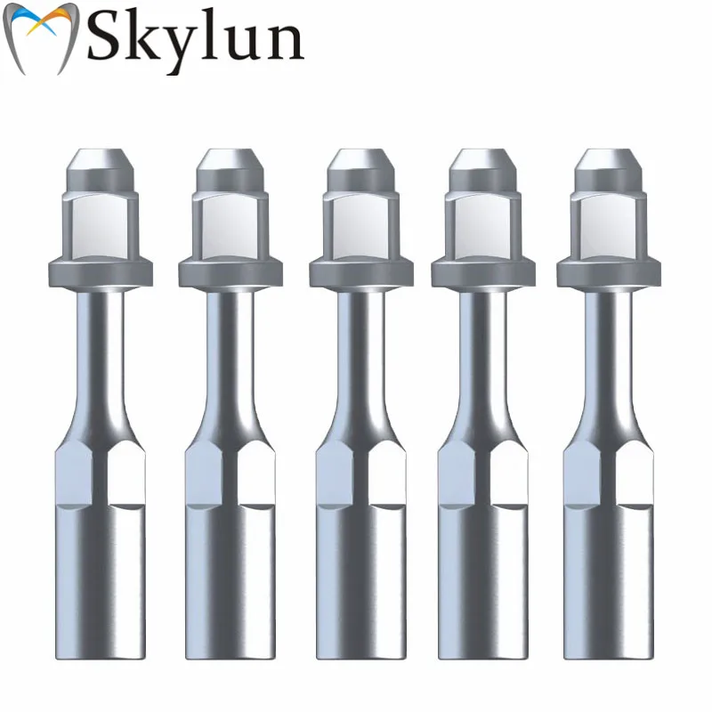 

10PCS Dental Ultrasonic Scaler Tips E0 Dental Ultrasonic Endo tip fit EMS/WOODPECKER Scaler E0