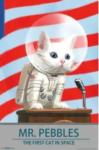 Фоллаут 4-МР камушки-видео игры SPACE CAT шелк постер декоративная стена картина 24x36Inch