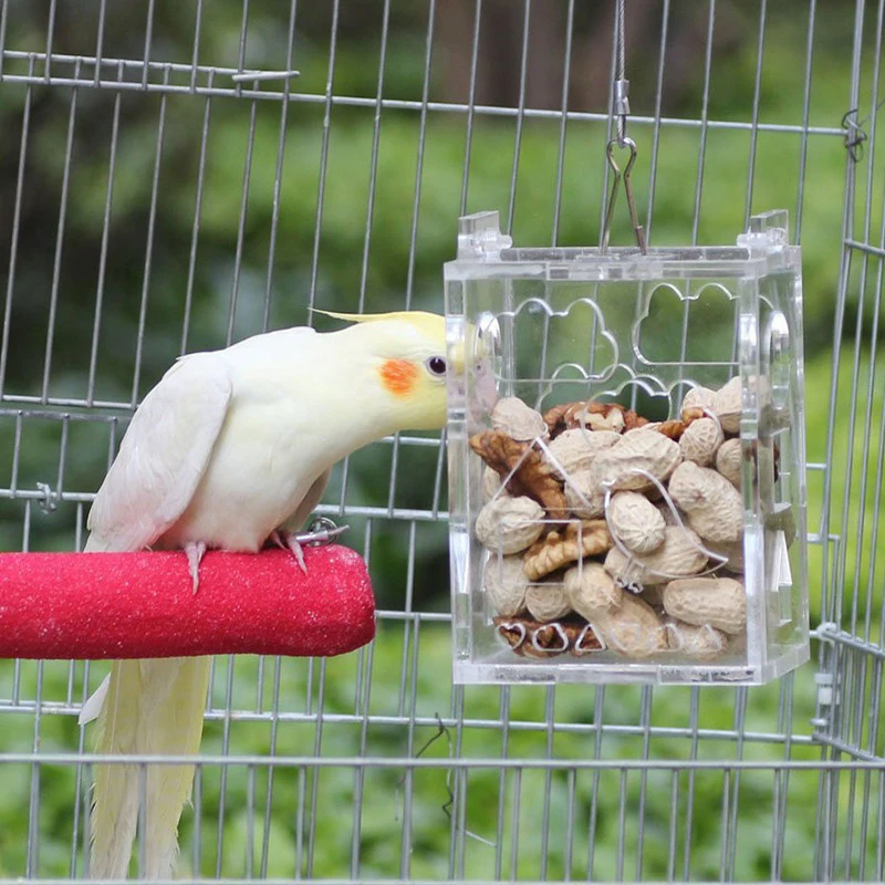 2019 1 шт. игрушка в клетке пищевой Пожиратель попугай для Parrotsforagingfeeder Прямая