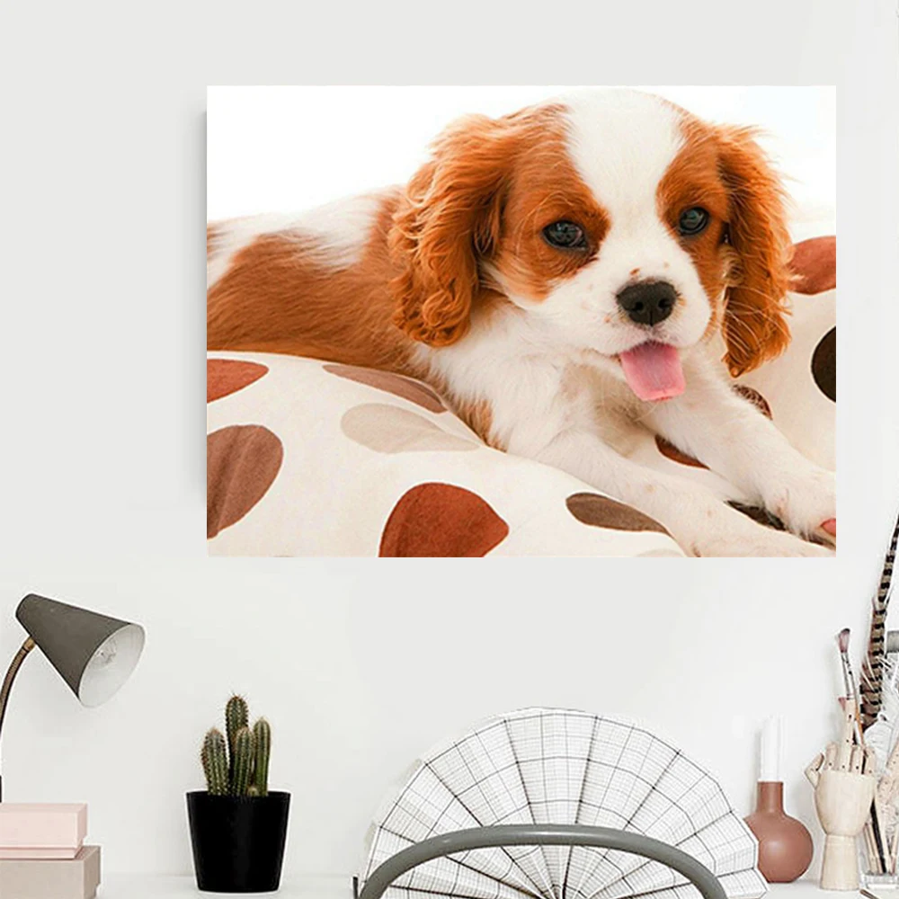 Алмазная живопись 5D сделай сам вышивка квадрат полный собака домашнее украшение