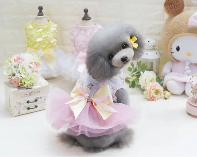 Летнее платье для собак A10 DogBaby милая Яркая юбка конфетного цвета щенков кошек